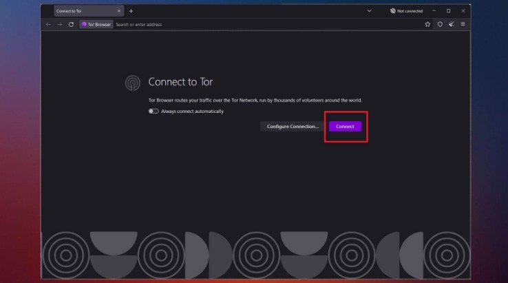 how to access the dark web