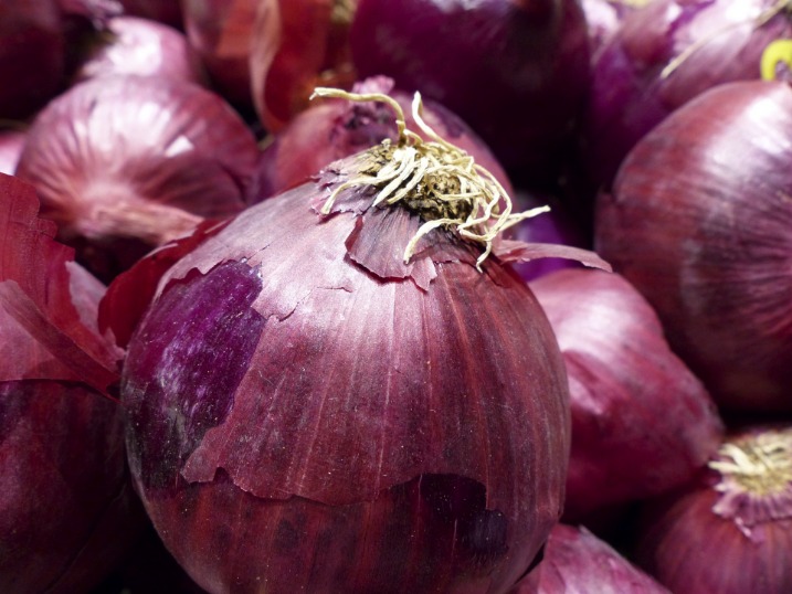 onion directory