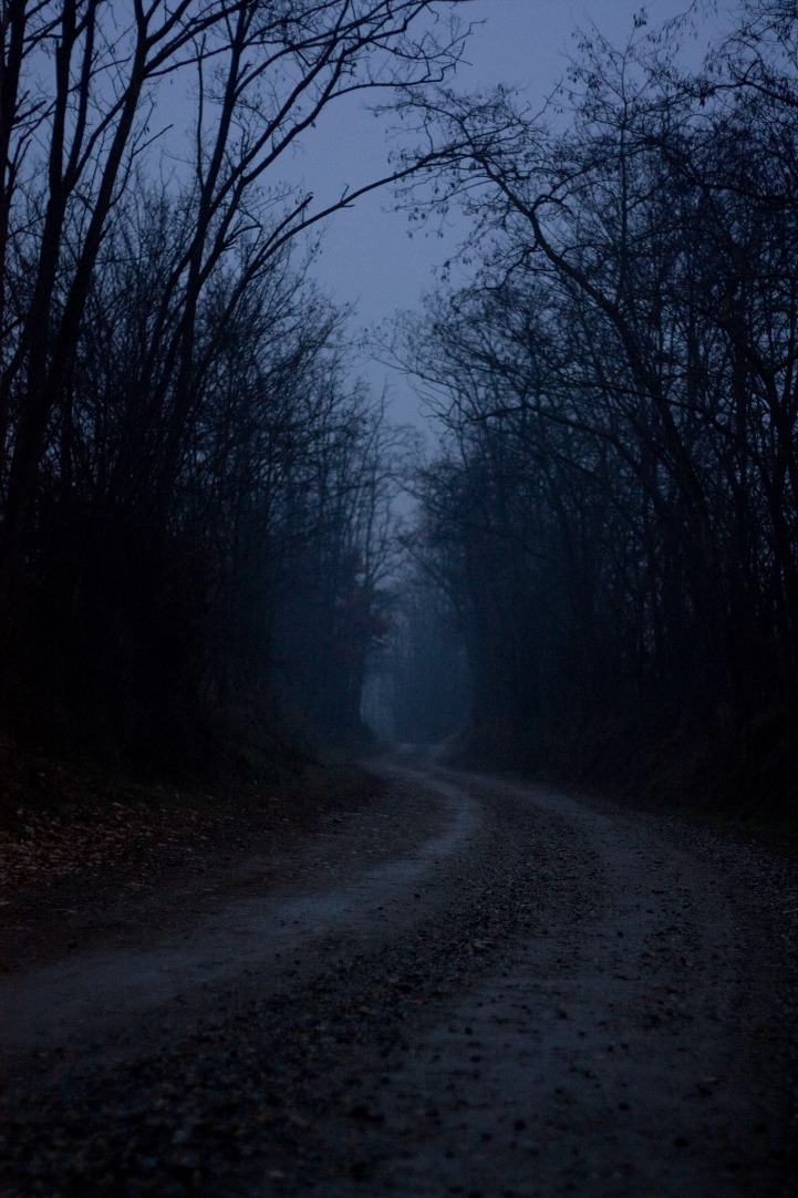 dark web links 2023 reddit