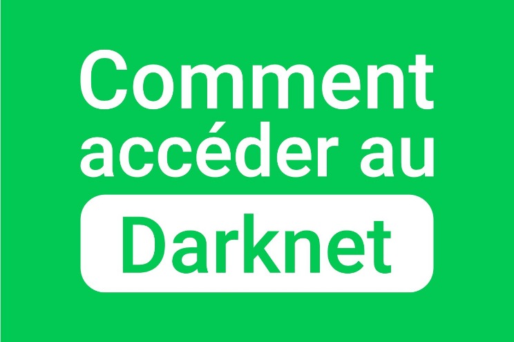 darknet market status