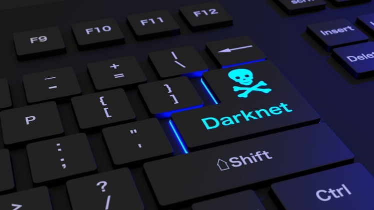 darknet drug vendor that takes paypal