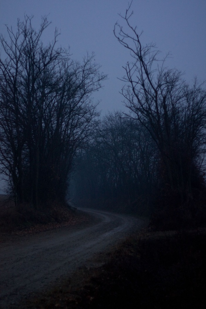 dark markets belarus