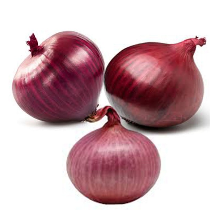 onion darknet market