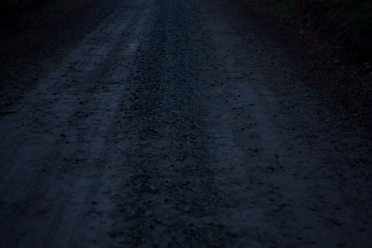 dark web markets reddit 2025