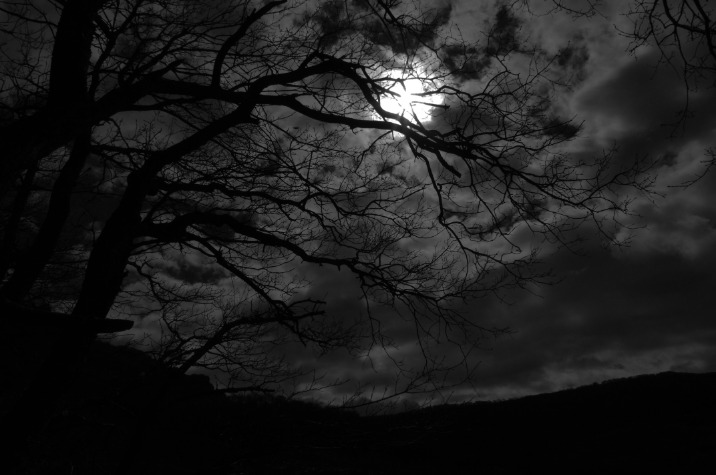 dark web markets reddit 2025