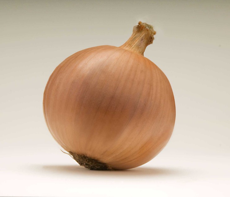 onion market