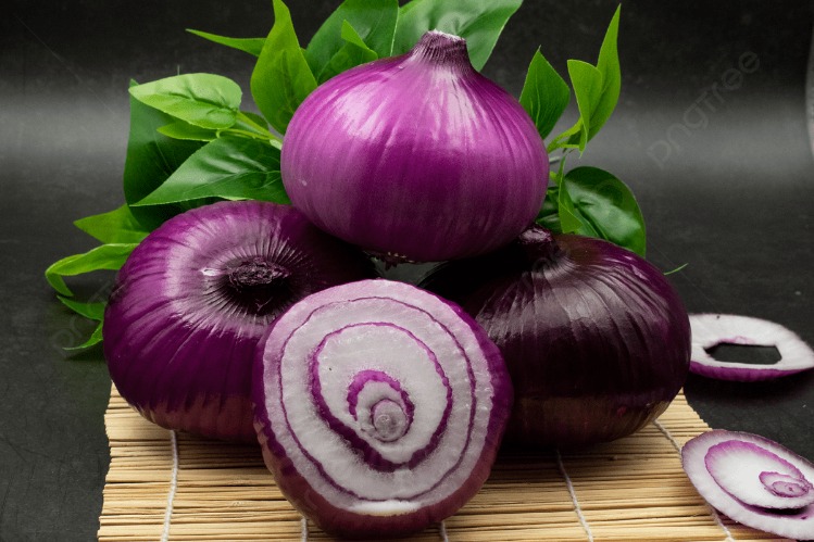 onion deep web search