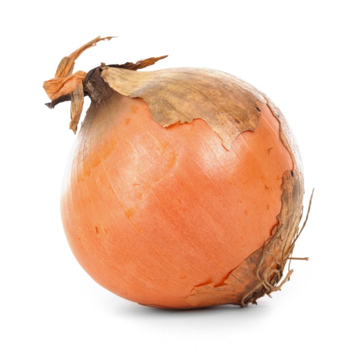 onion links