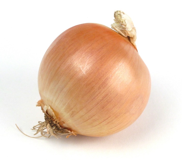onion dark web