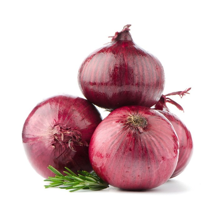 onion dark web