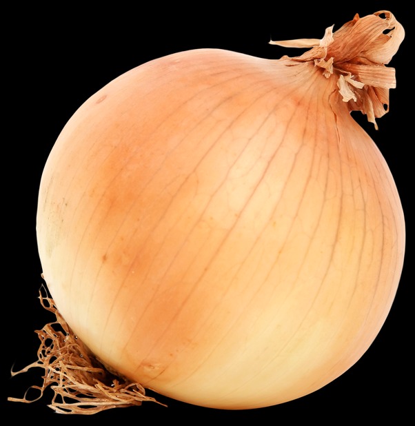 onion dark web