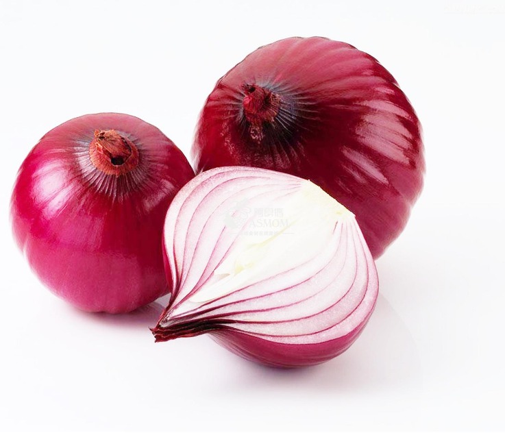 onion directory list