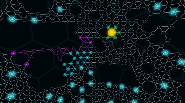 darknet dream market