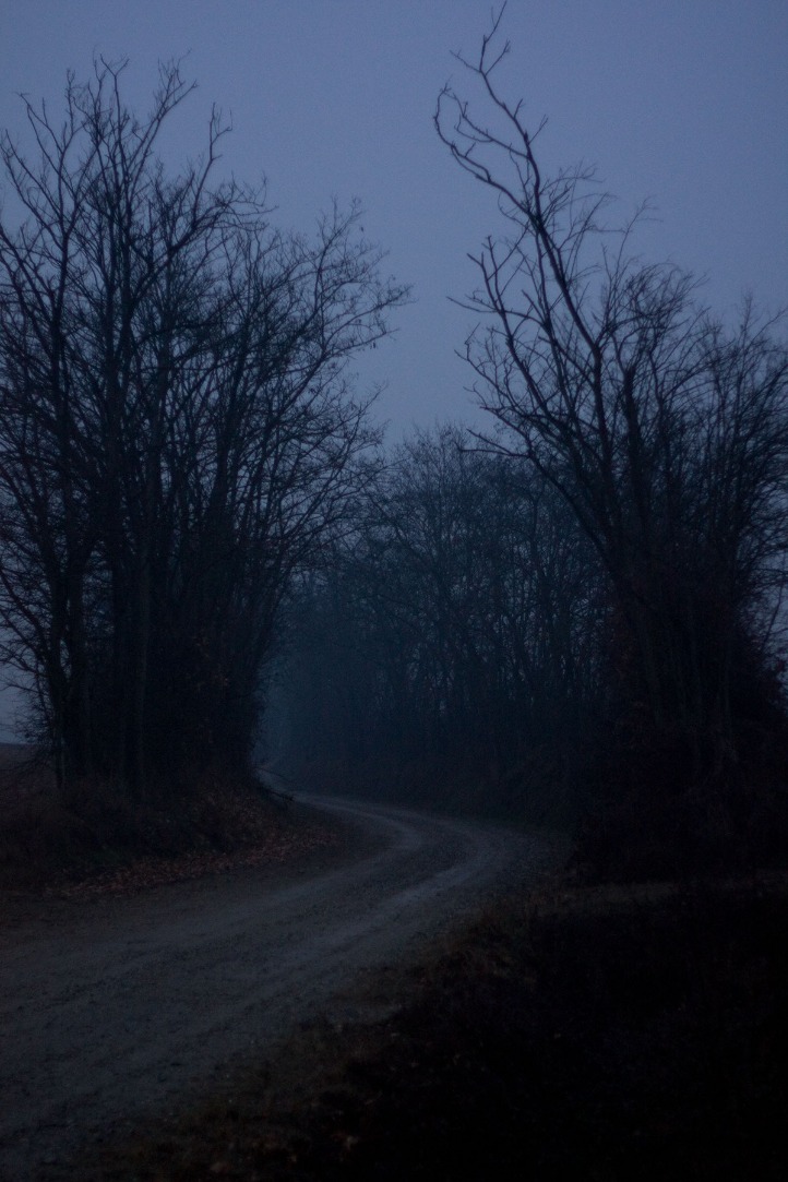 dark web marketplaces