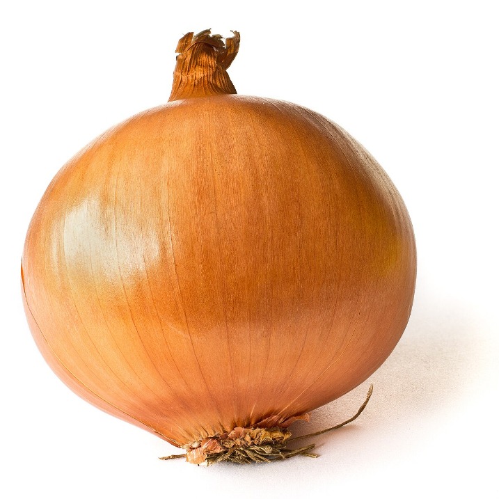 onion directory 2025