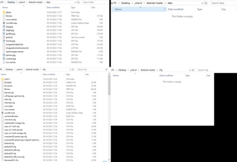 darknet carding sites