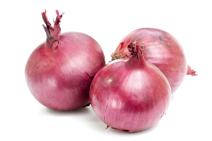 onion links for deep web