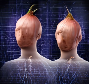 tor dark web