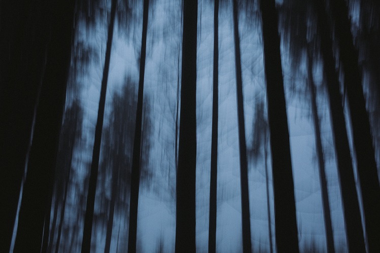 dark web websites reddit