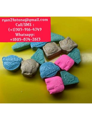 where to buy molly
