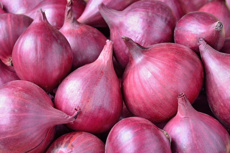 onion market