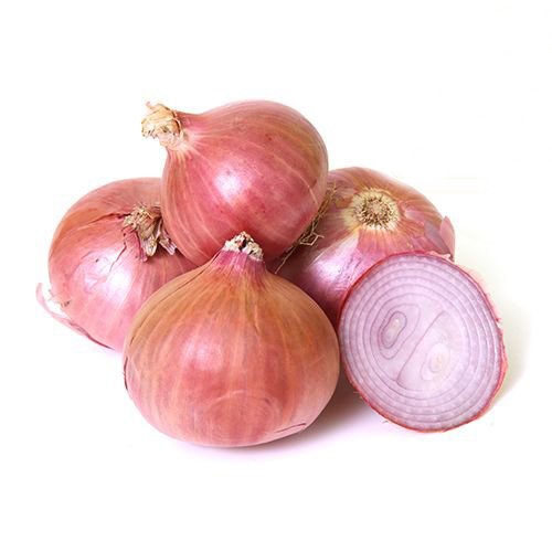 onion directory 2025