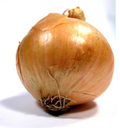onion link search engine