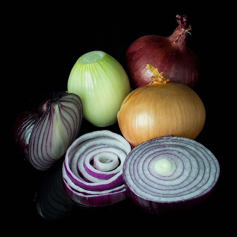 onion directory