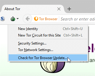 how do people access the dark web